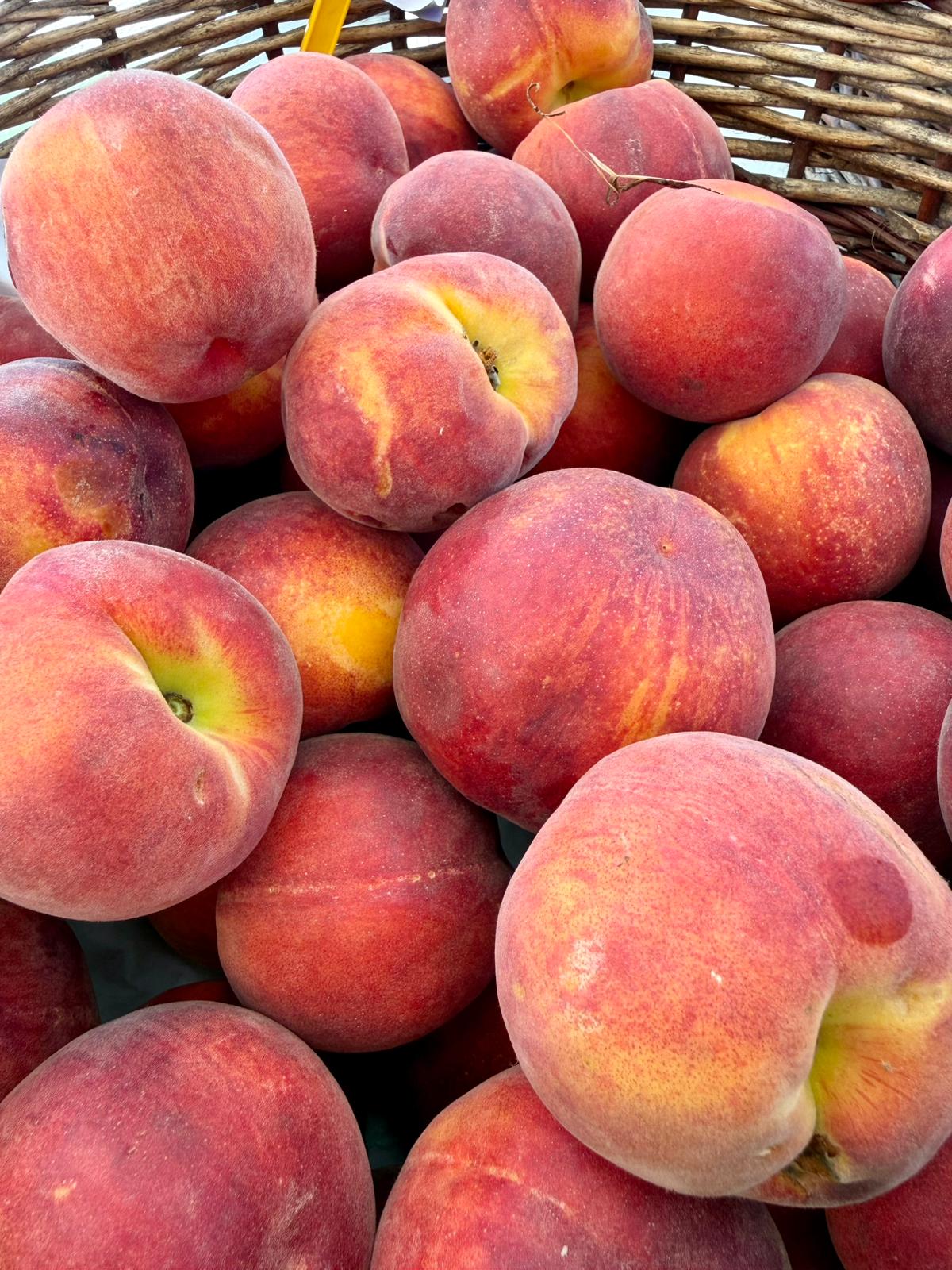 FRUTTA